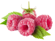 paspberry